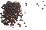 Black Pepper benefits