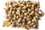 grape seed extract