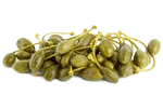 quercetin benefits