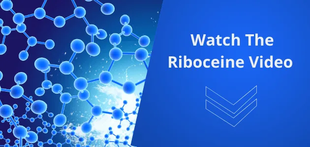 correxiko glutathione Discover Why Riboceine is a Breakthrough in Glutathione Delivery