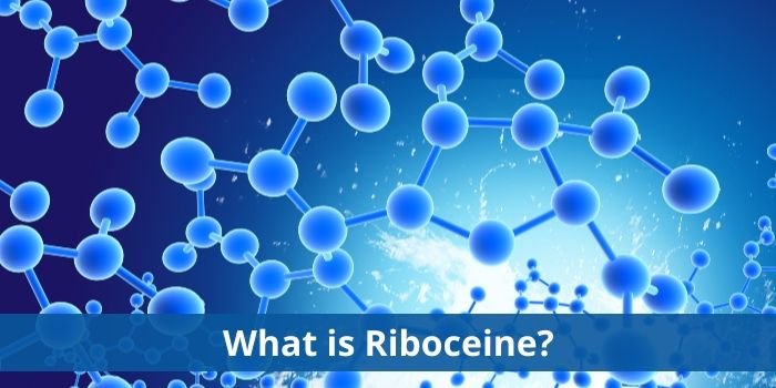 Riboceine molecule